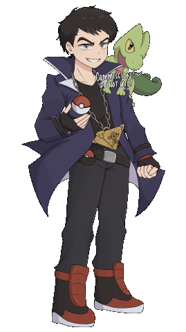Commission for @ElDuelistaPokeDex